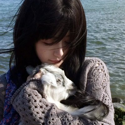 阿普的问题 海报